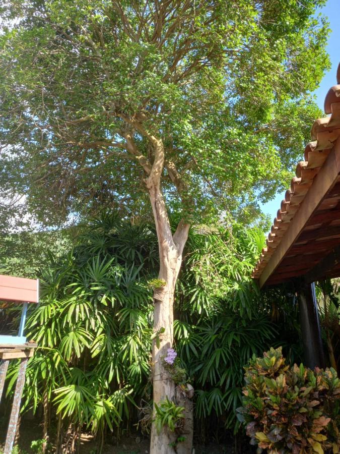 Família Silvia Périco Villa Ilhabela Exterior foto